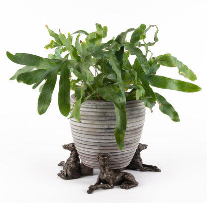 Greyhound Plant Pot Feet - Set of 3