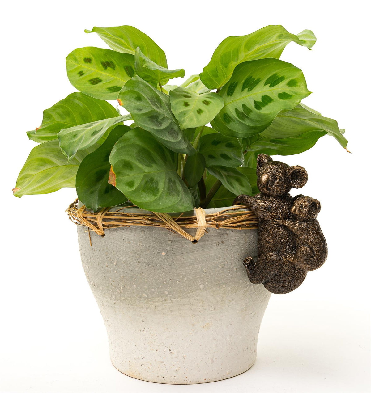Koala and Cub Plant Pot Hanger