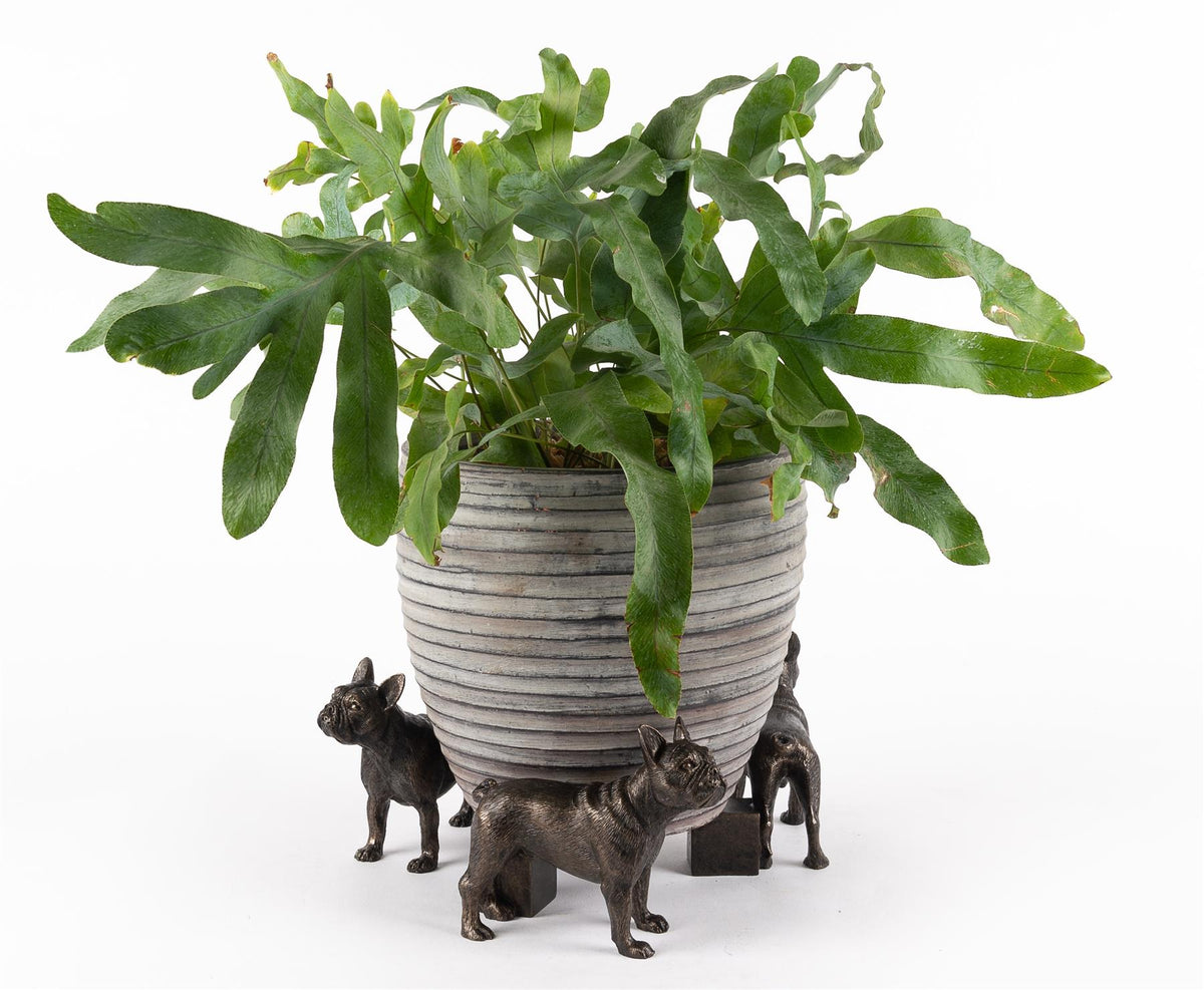 French Bulldog Plant Pot Feet - Set of 3