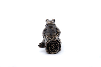 Frog On A Log Plant Drip Feeder Cover & Feed