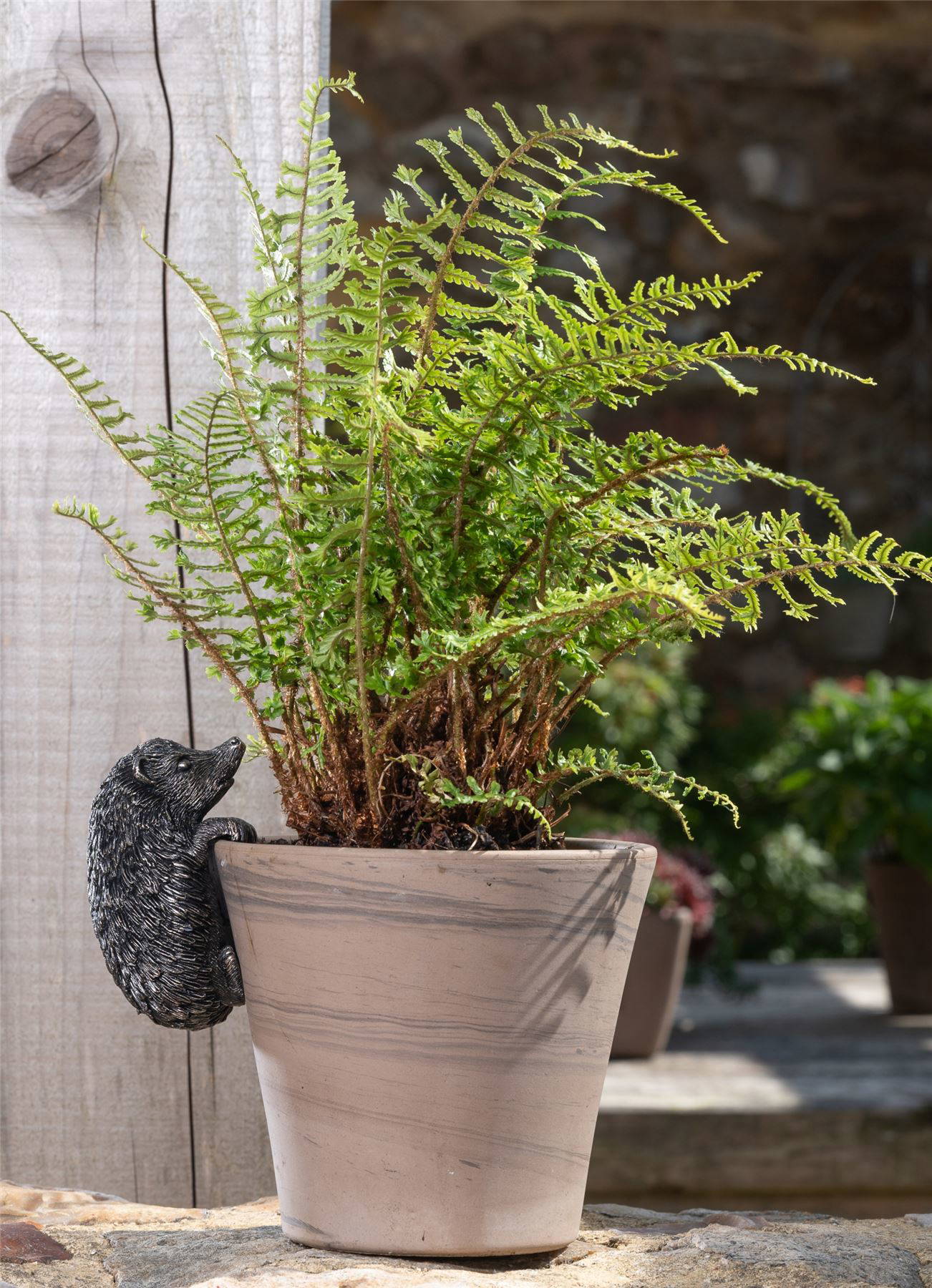 Hedgehog Plant Pot Hanger