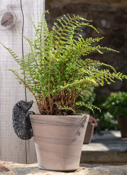 Hedgehog Plant Pot Hanger