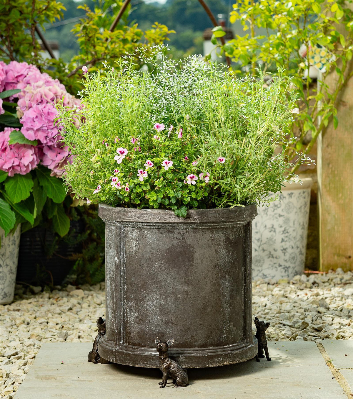 Chihuahua Plant Pot Feet - Set of 3