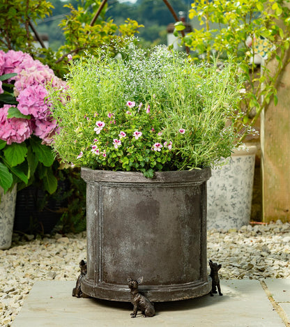 Chihuahua Plant Pot Feet - Set of 3