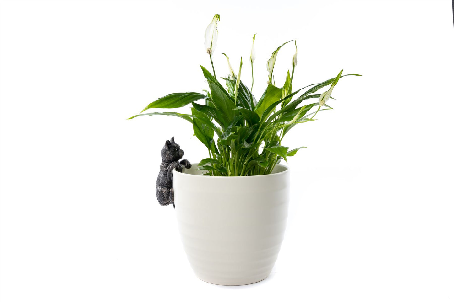Cat Plant Pot Hanger