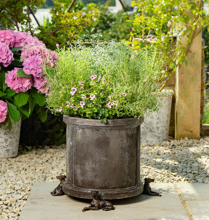 Greyhound Plant Pot Feet - Set of 3