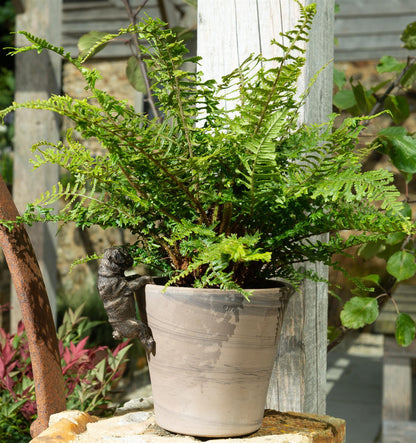 Pug Plant Pot Hanger