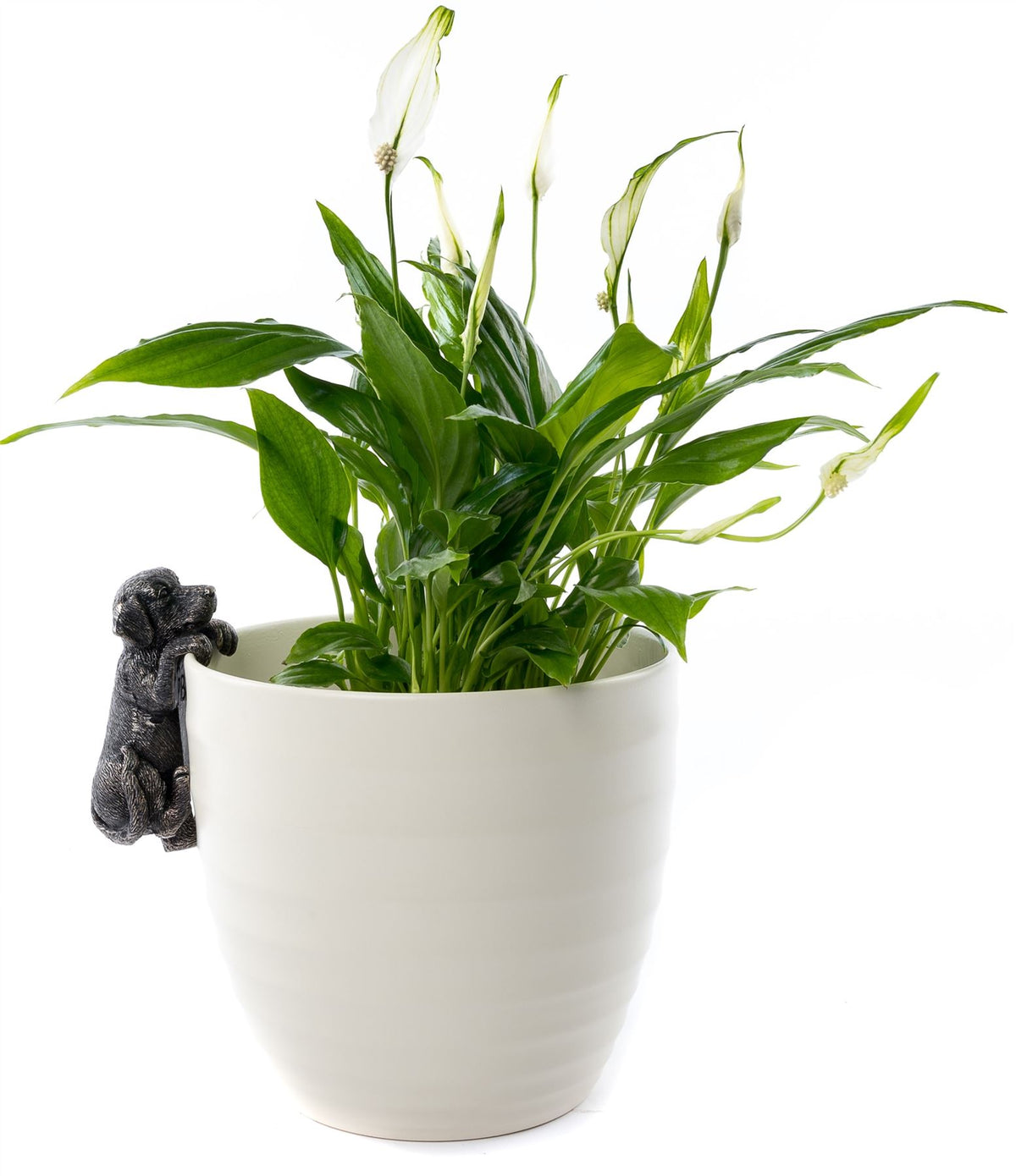 Labrador Plant Pot Hanger