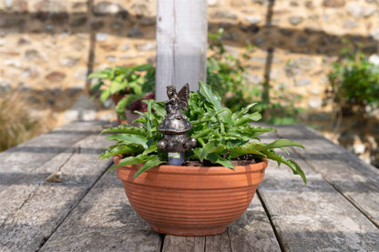 Fairy On Toadstool Plant Drip Feeder Cover & Feed