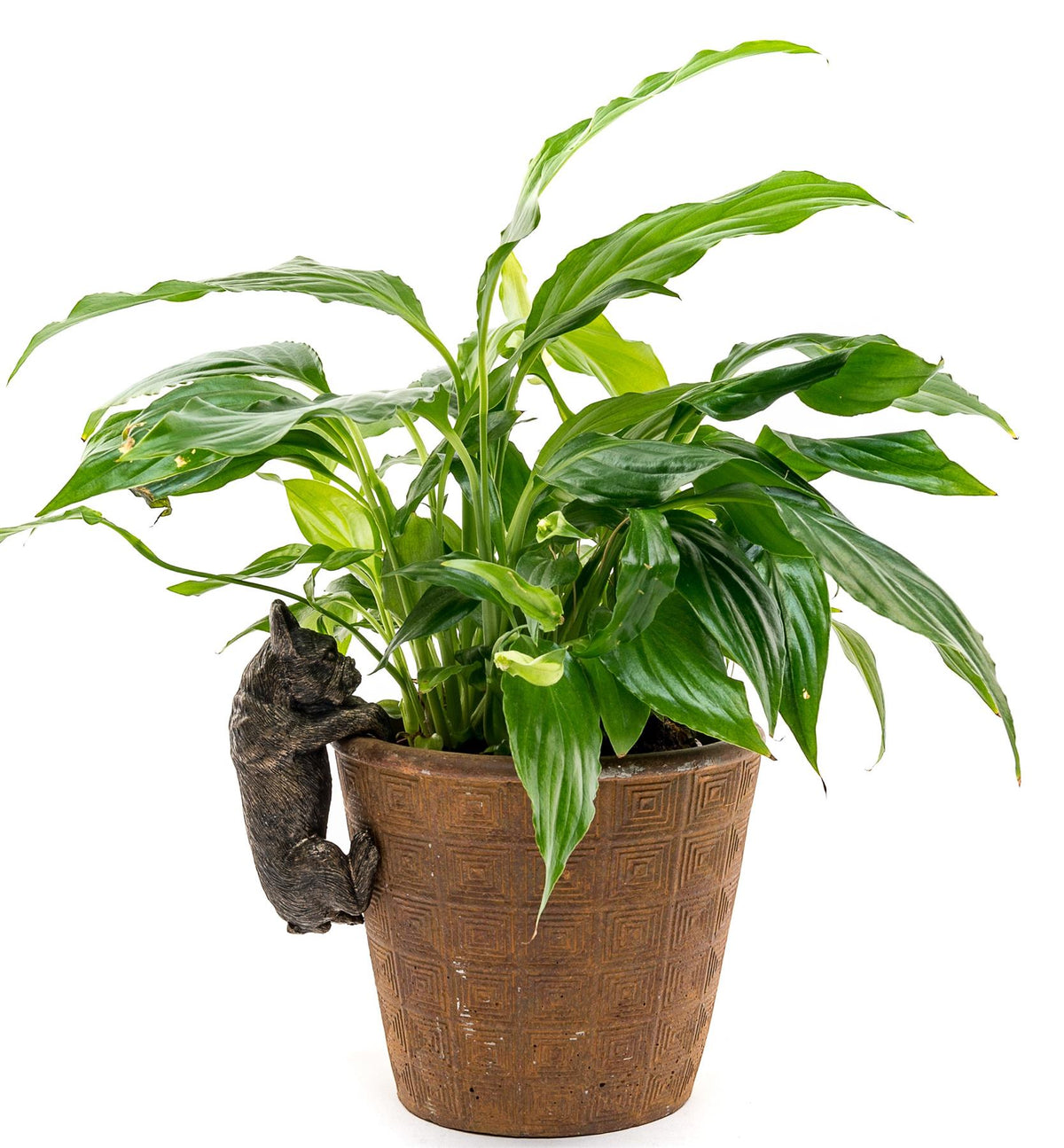 French Bulldog Plant Pot Buddy