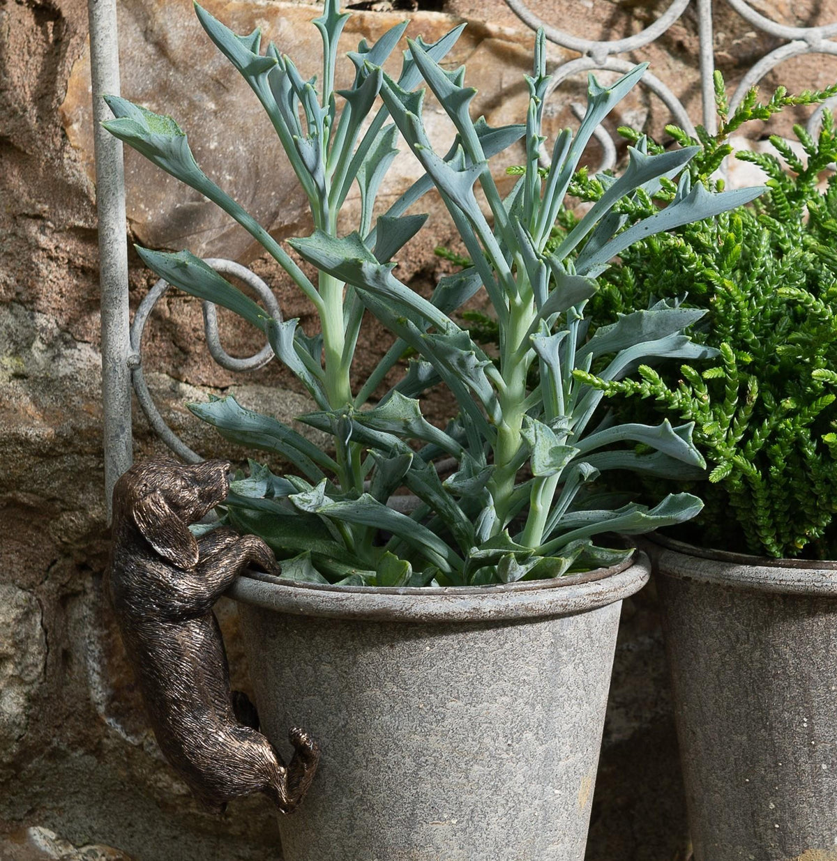 Dachshund Plant Pot Hanger