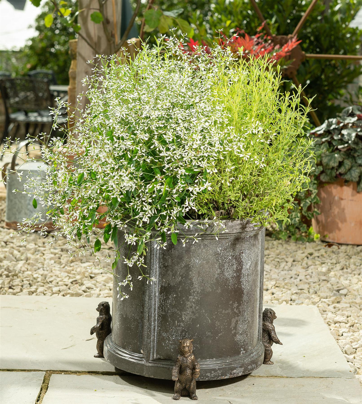 Grizzly Bear Plant Pot Feet - Set of 3