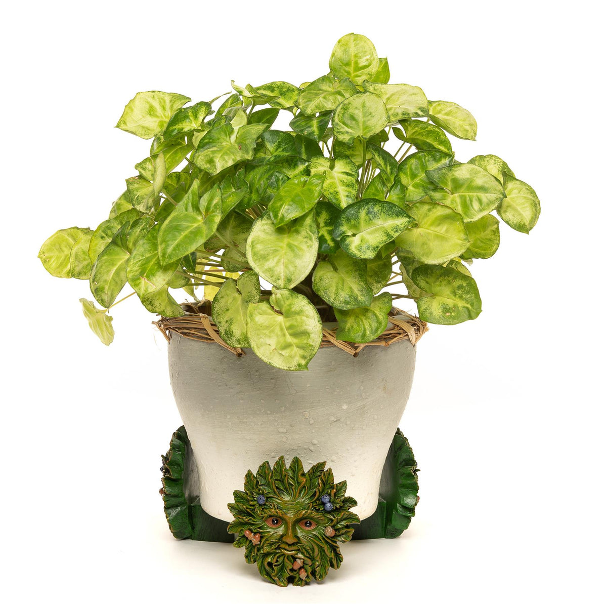 Green Man Plant Pot Feet - Set of 3