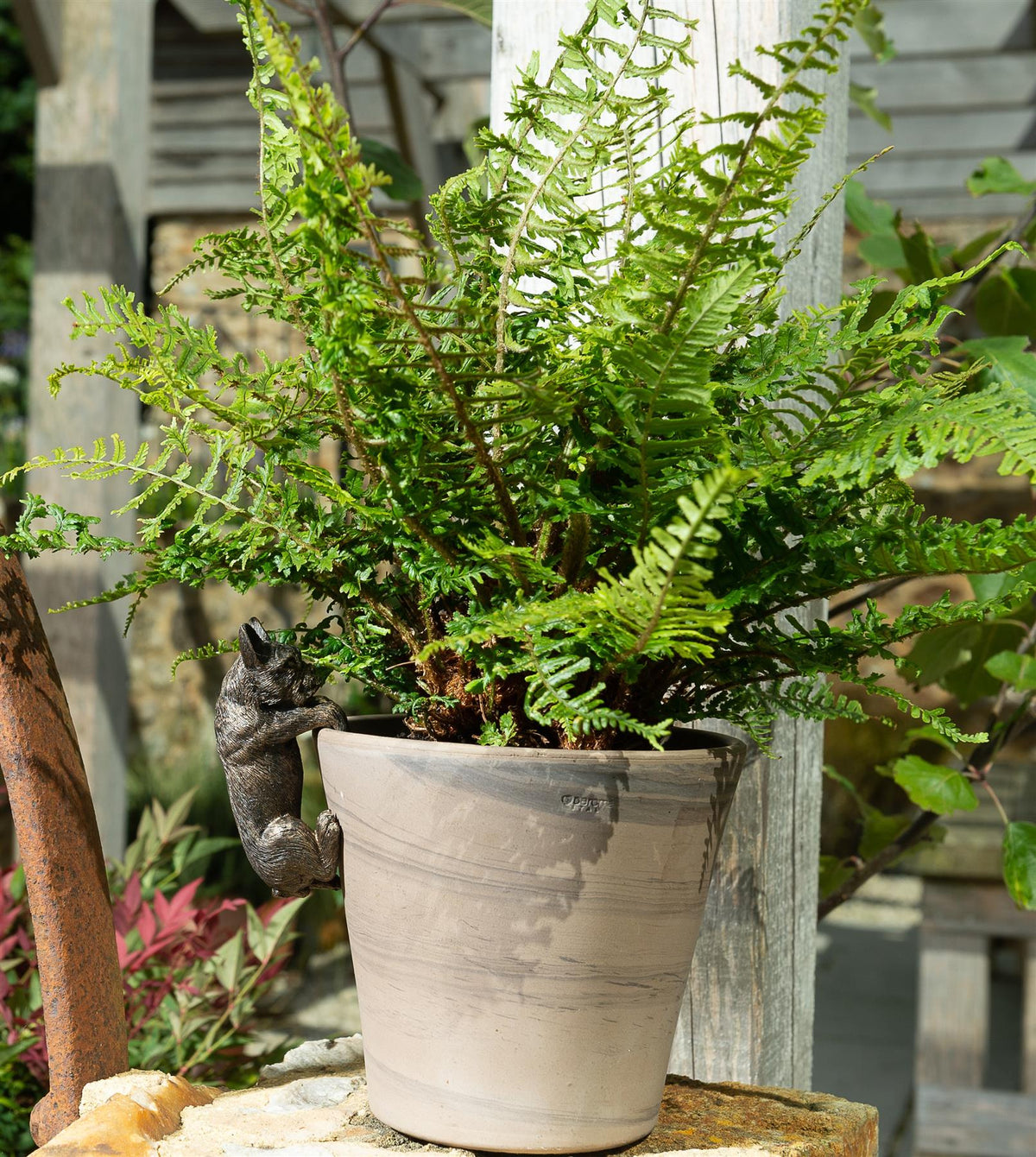 French Bulldog Plant Pot Buddy