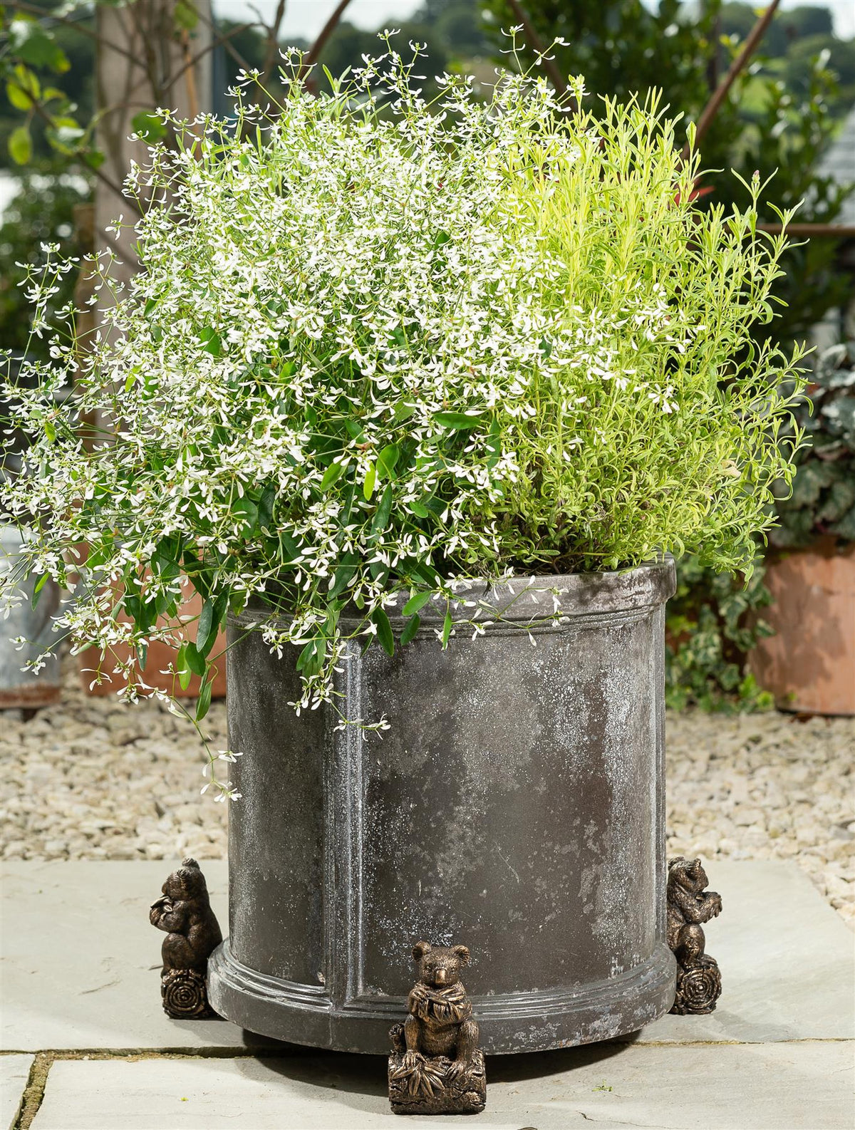 Koala Bear Plant Pot Feet - Set of 3