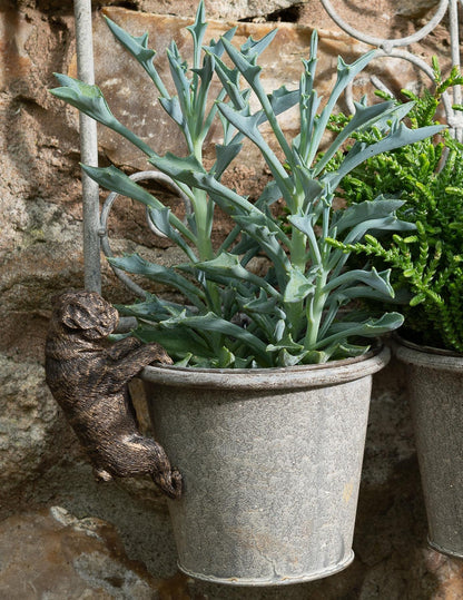 Pug Plant Pot Hanger