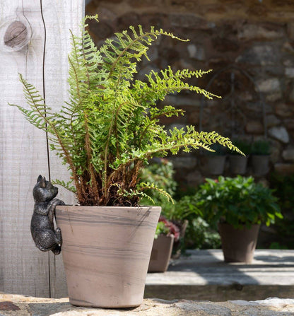 Cat Plant Pot Hanger