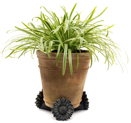 Daisy Plant Pot Feet - Set of 3
