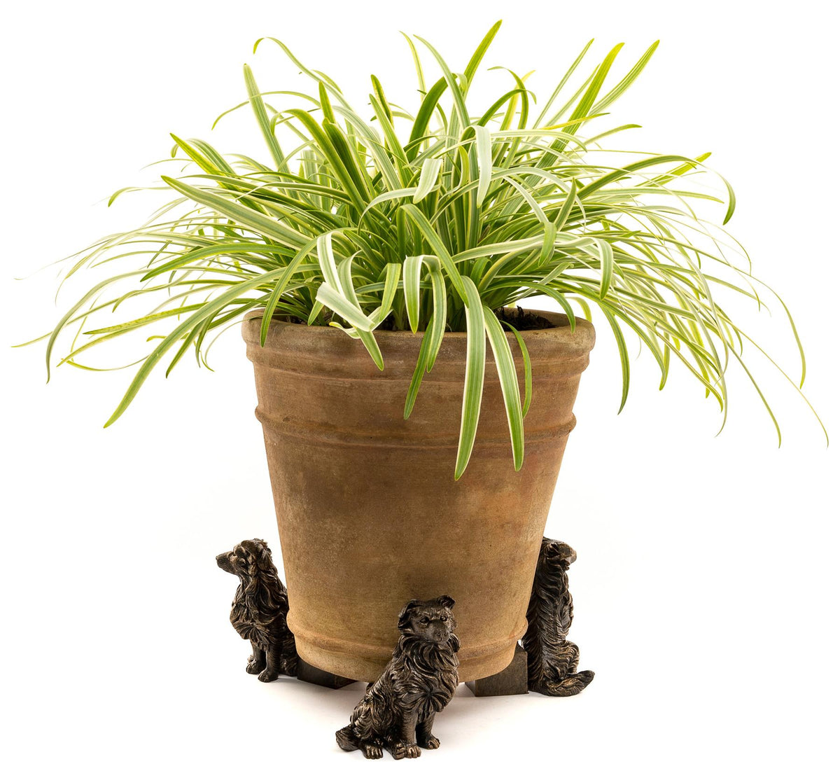 Border Collie Plant Pot Feet - Set of 3