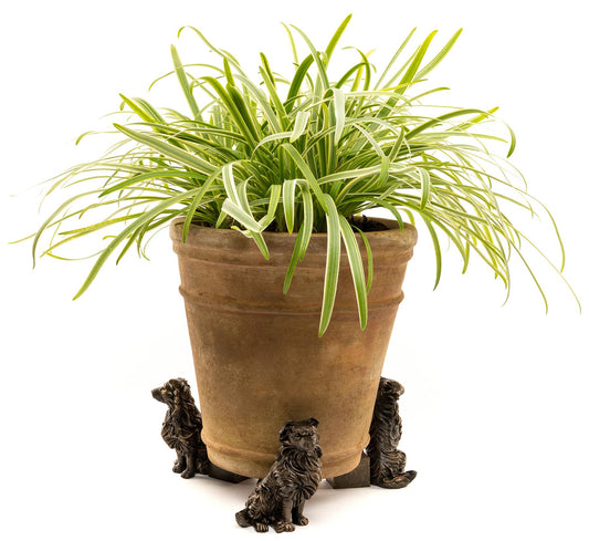 Border Collie Plant Pot Feet - Set of 3