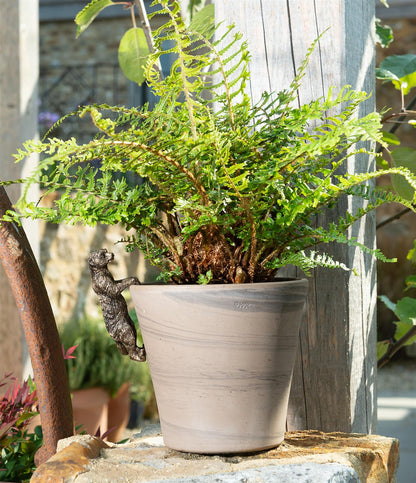 Meerkat Plant Pot Hanger