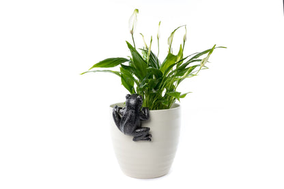 Frog Plant Pot Hanger