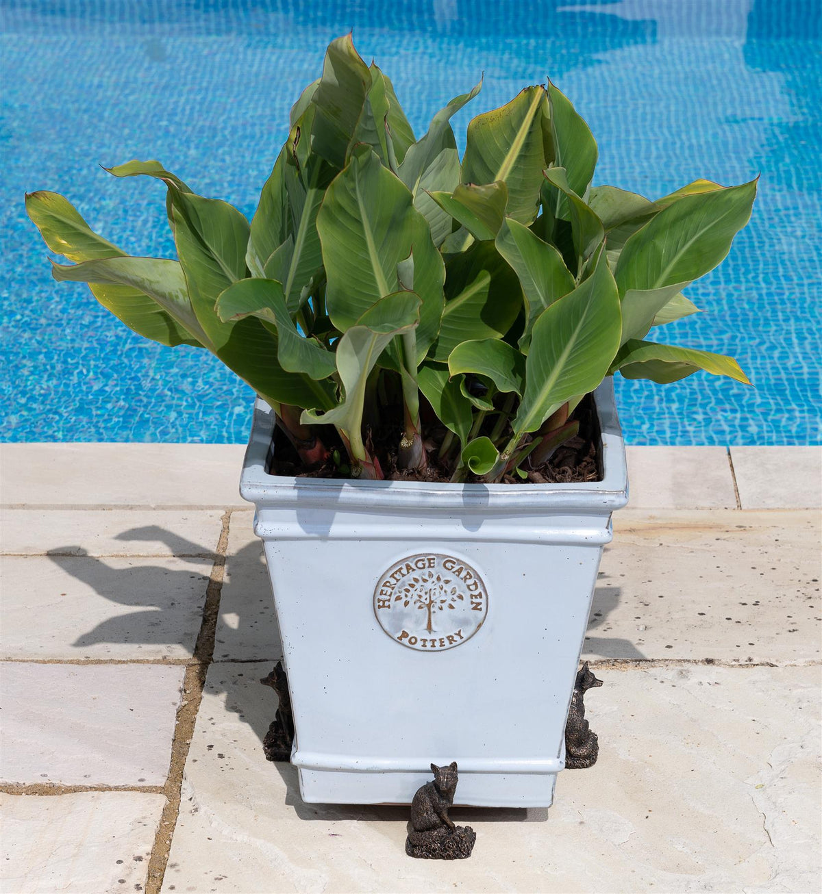Fox Plant Pot Feet - Set of 3