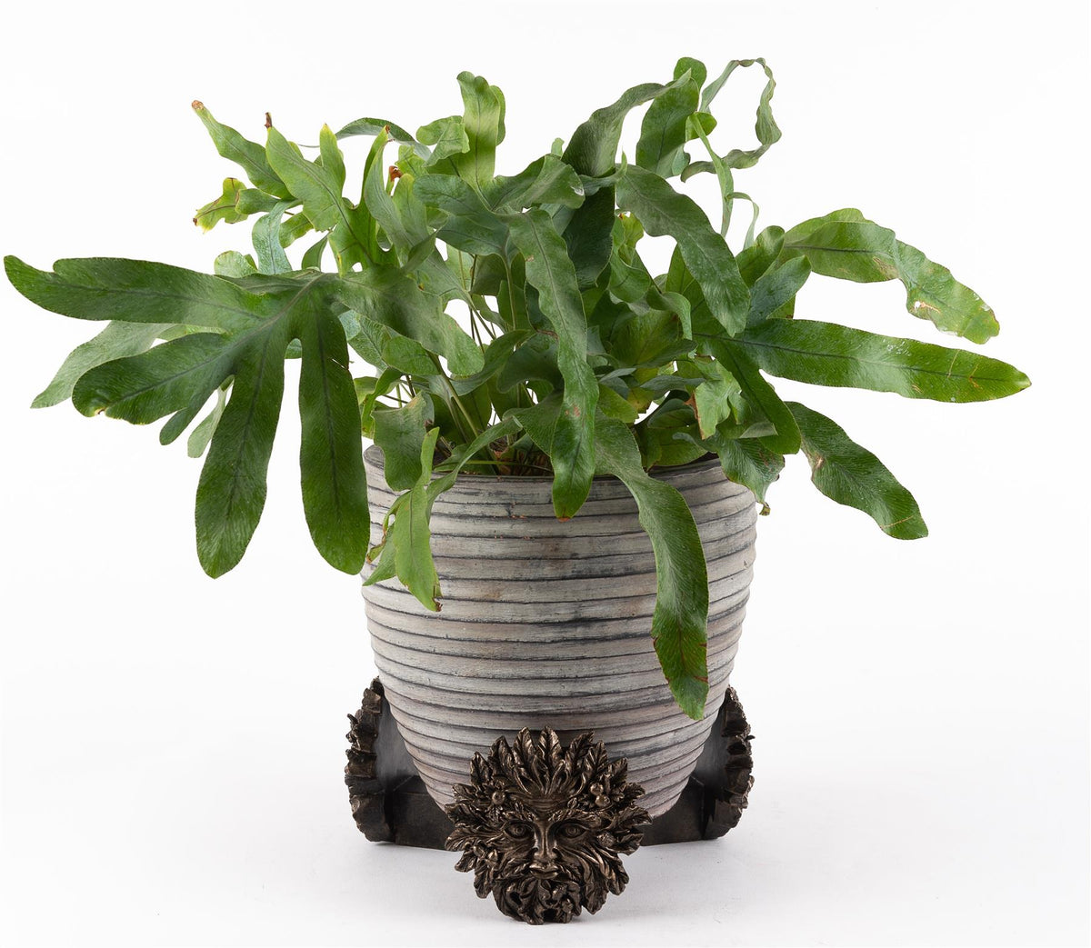Green Man Plant Pot Feet - Set of 3