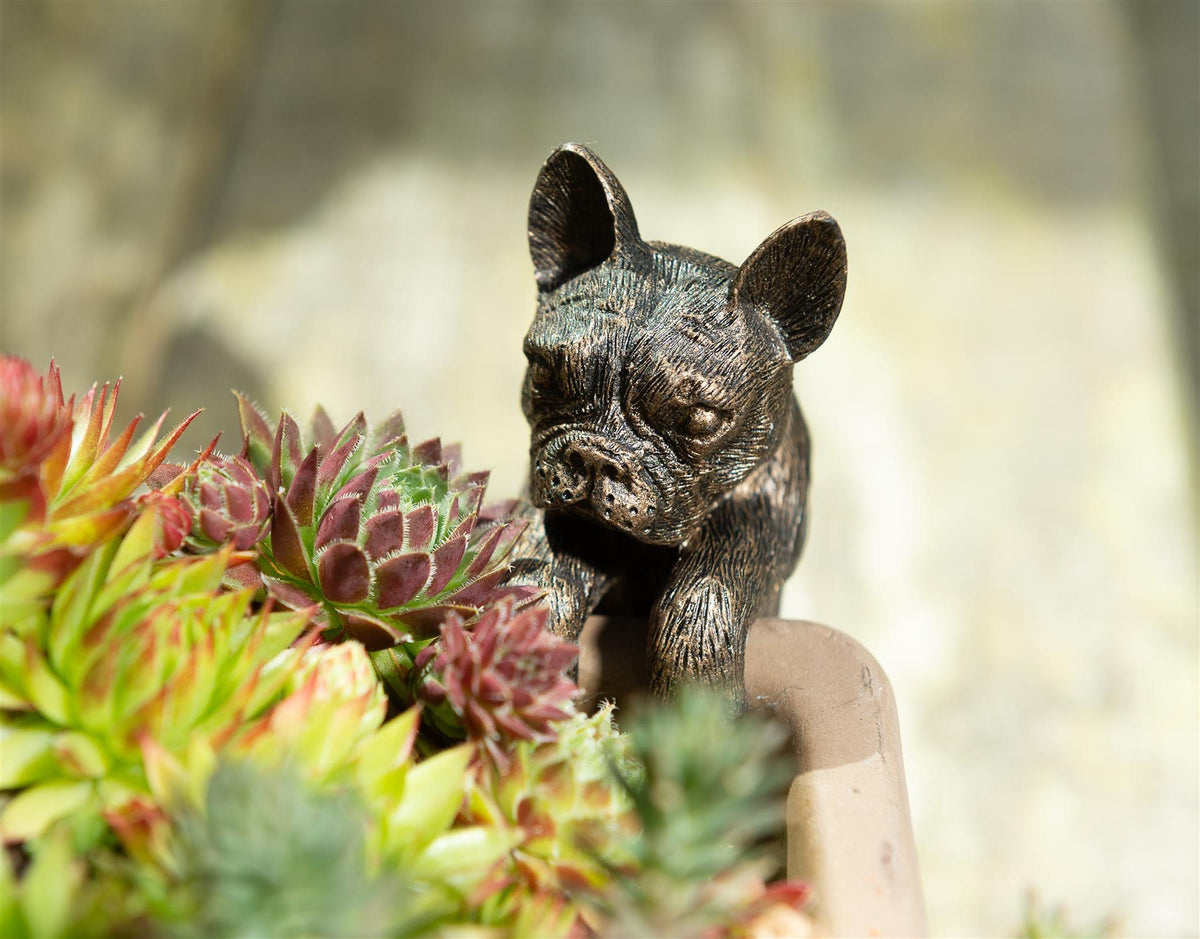 French Bulldog Plant Pot Buddy