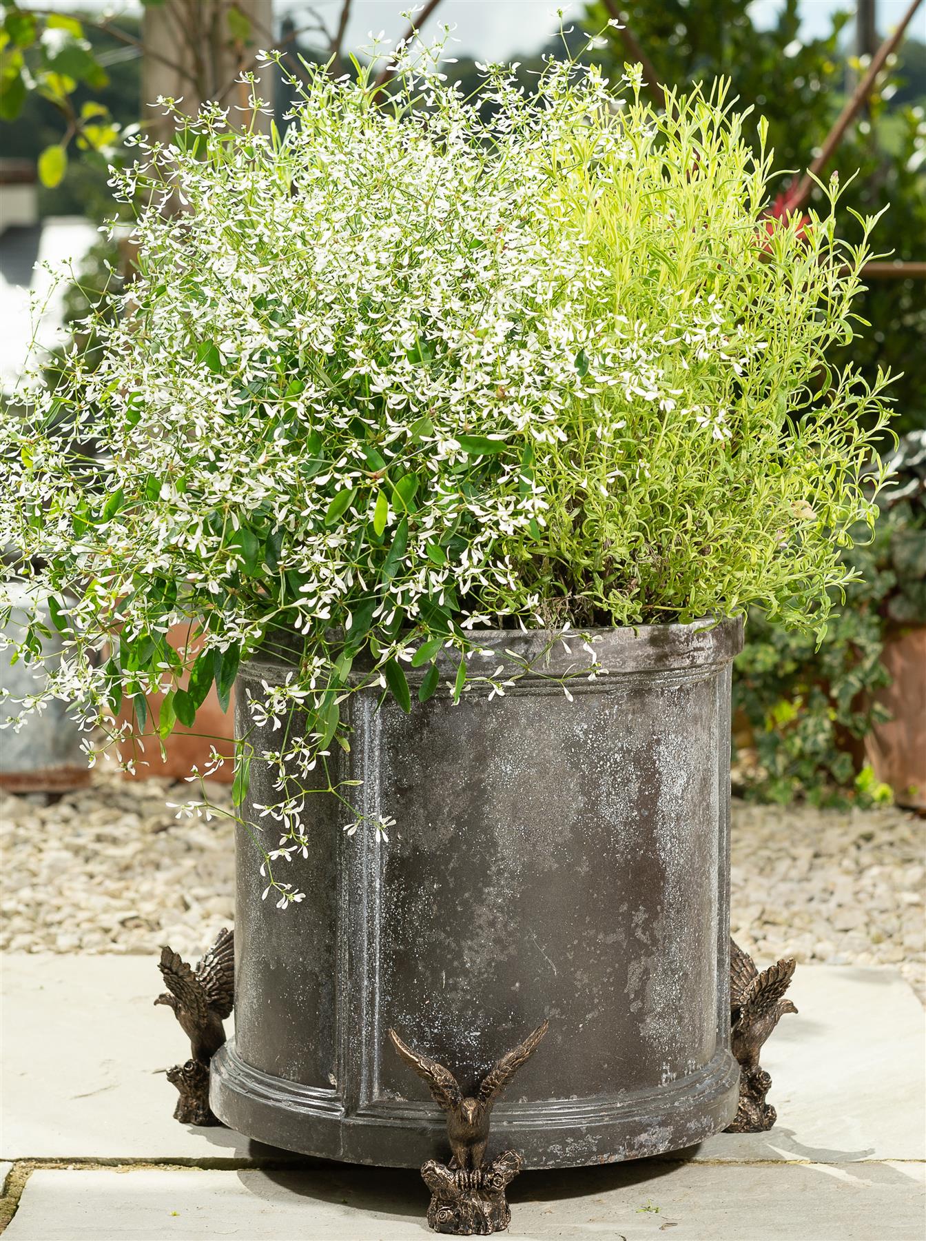 American Bald Eagle Plant Pot Feet - Set of 3