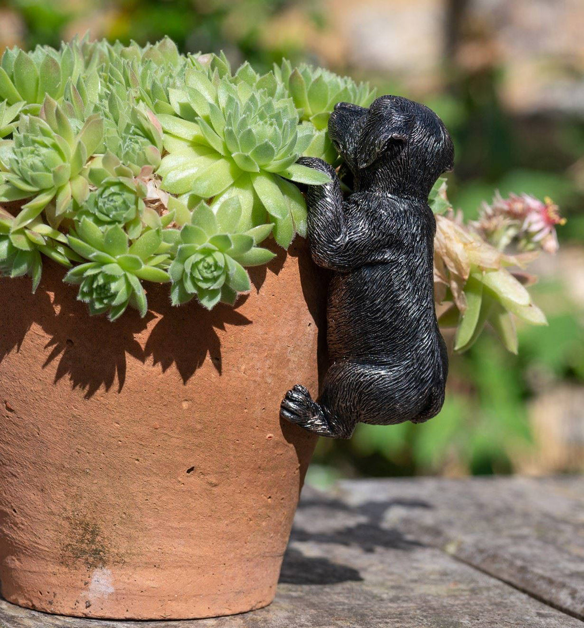 Labrador Plant Pot Hanger
