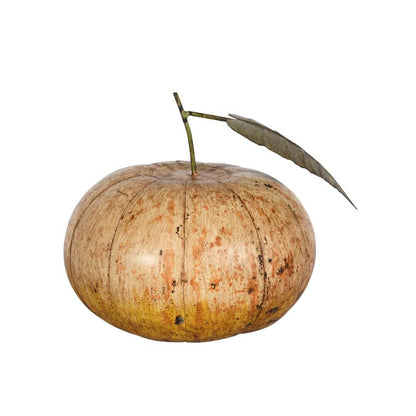 Indian Artisan Made Recycled Iron Pumpkin Decoration – Hand-Painted