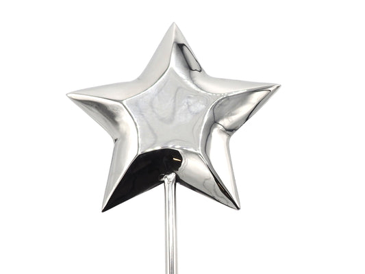 3D Star Plant Stake 50CM