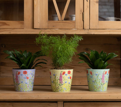 Bamboo Eco-Pot Iona Buchanan Meadow - Set of 3 - 3 colours