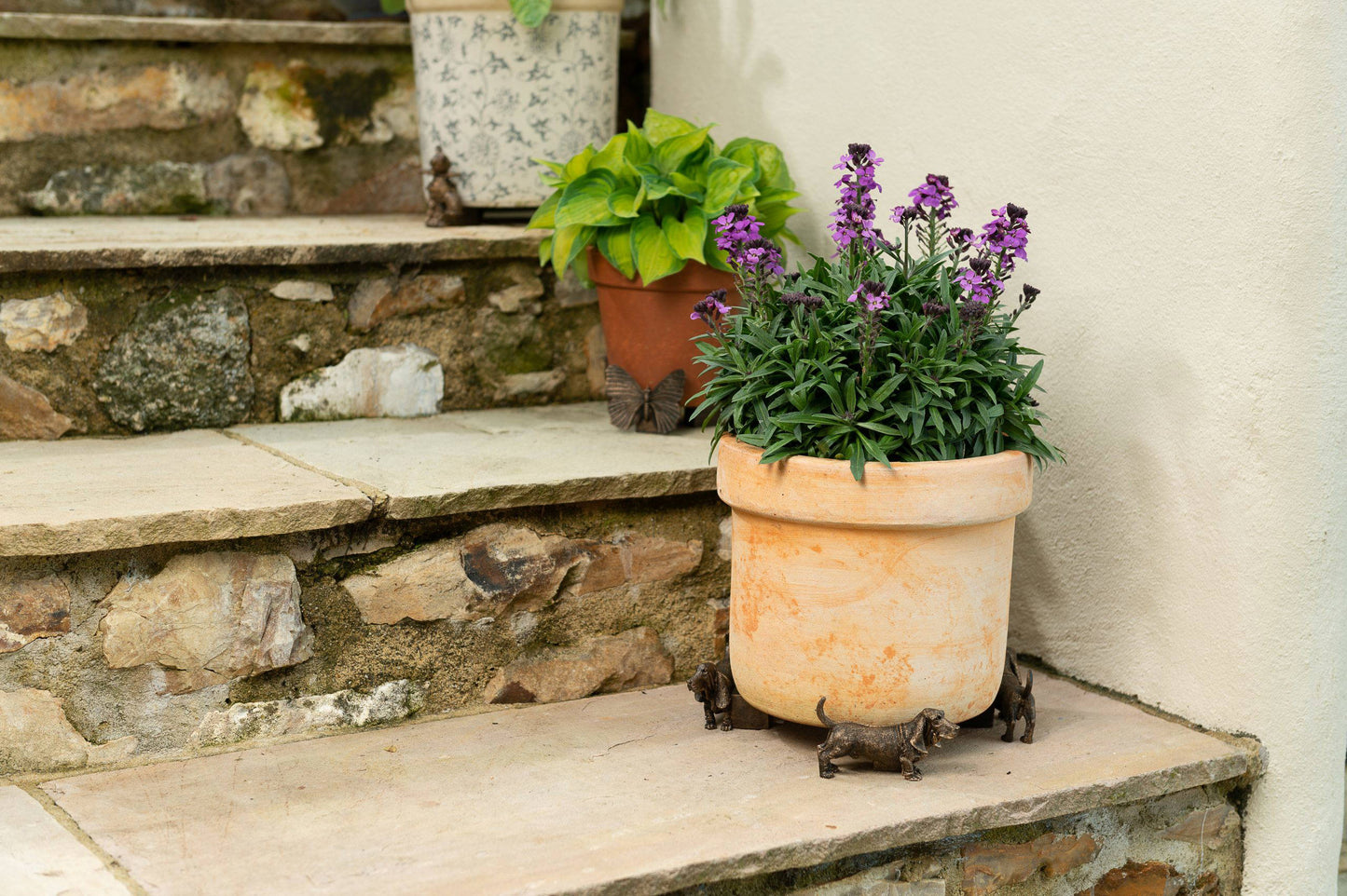 Basset Hound Potty Feet and Pot Buddy
