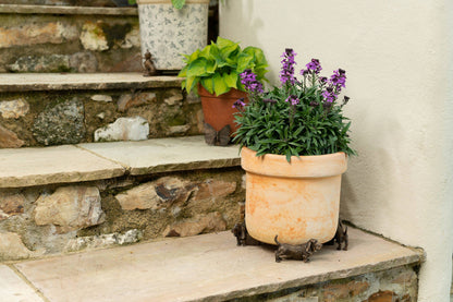 Basset Hound Potty Feet and Pot Buddy