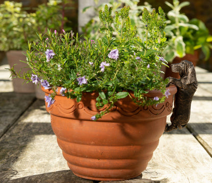 Basset Hound Plant Pot Hanger