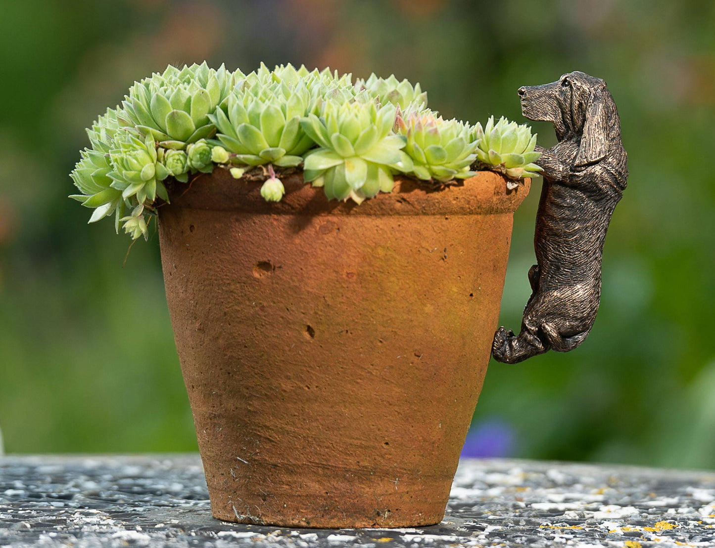 Basset Hound Plant Pot Hanger