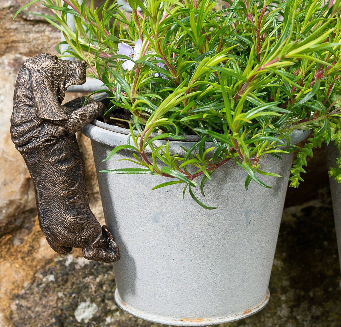 Basset Hound Plant Pot Hanger