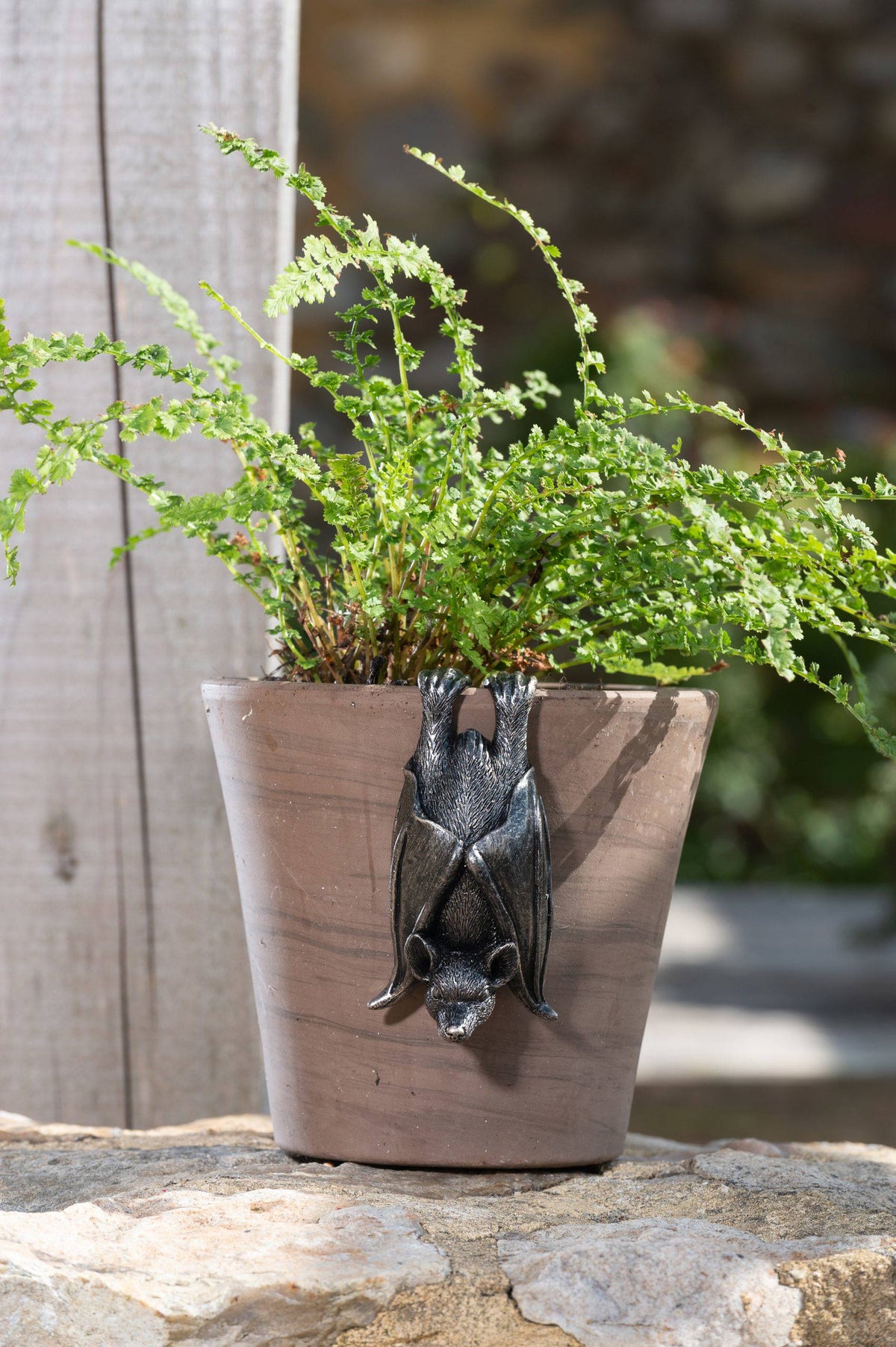 Hanging Bat & Bat With Wings Open