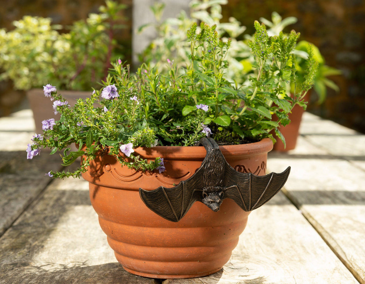 Hanging Bat & Bat With Wings Open