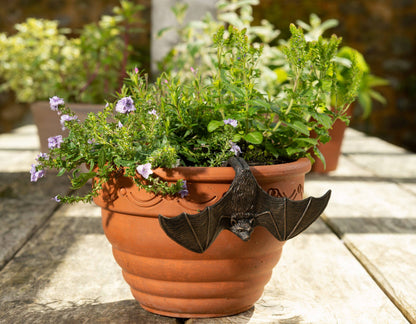 Hanging Bat & Bat With Wings Open
