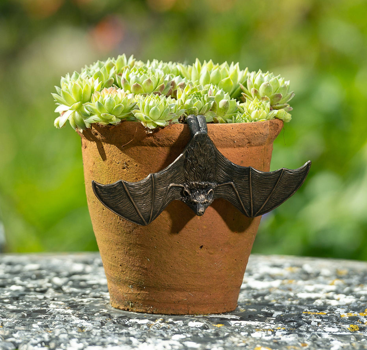 Hanging Bat & Bat With Wings Open