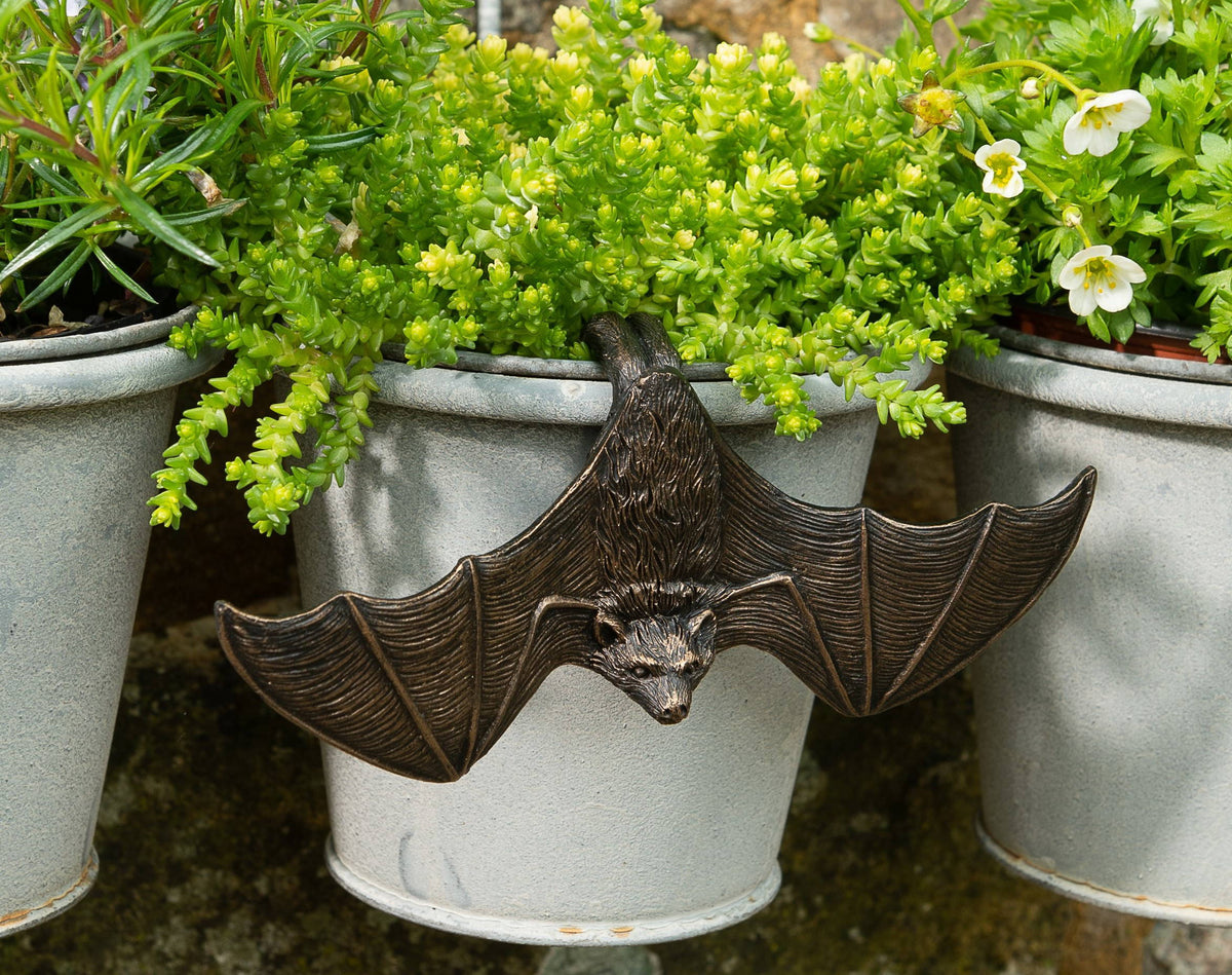 Hanging Bat & Bat With Wings Open