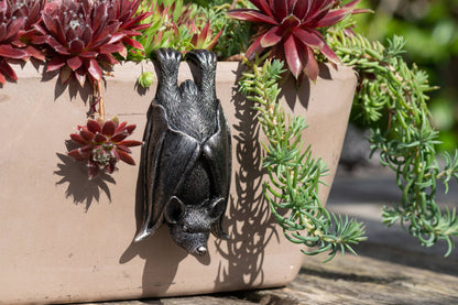Hanging Bat & Bat With Wings Open