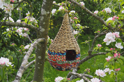 Munja And Reclaimed Sari Fabric Bird Nester
