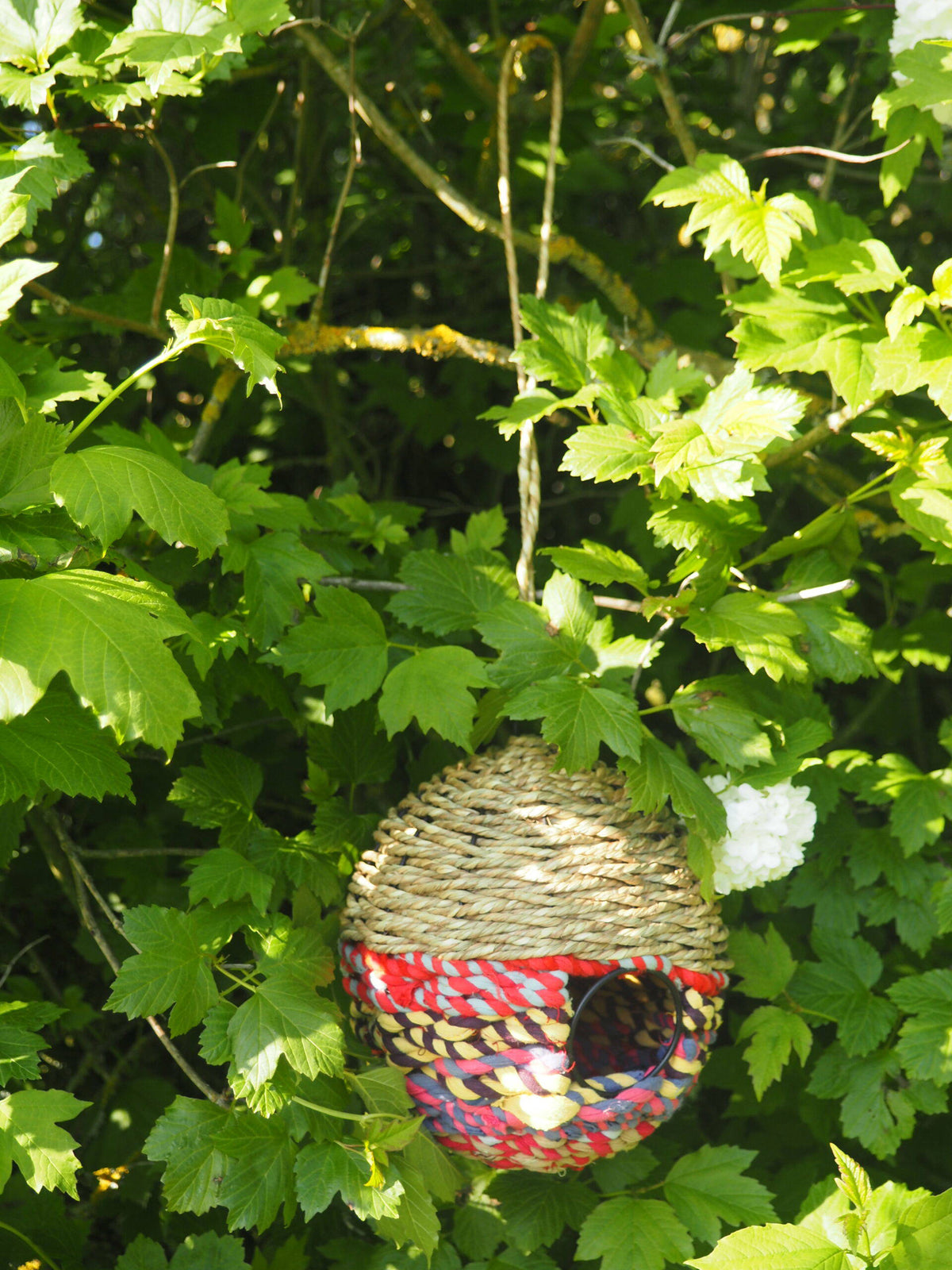 Munja And Reclaimed Sari Fabric Bird Nester