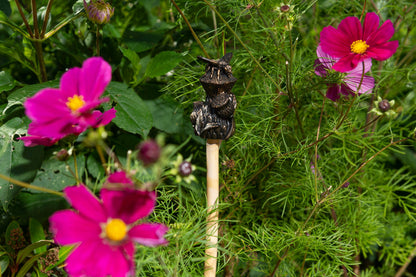 Set of 5 Animals & Insects Cane or Stake Toppers Hedgehog, Bee, Butterfly, Frog, Snail