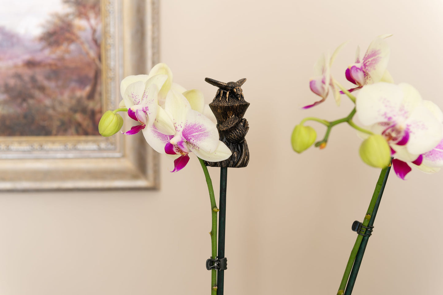 Set of 5 Animals & Insects Cane or Stake Toppers Hedgehog, Bee, Butterfly, Frog, Snail