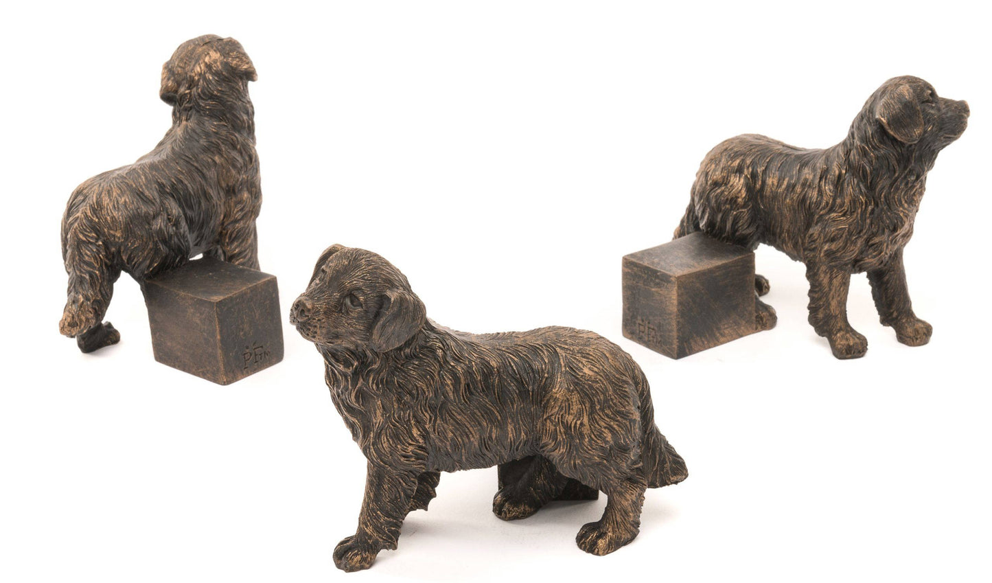 Bernese Mountain Dog Plant Pot Feet - Set of 3